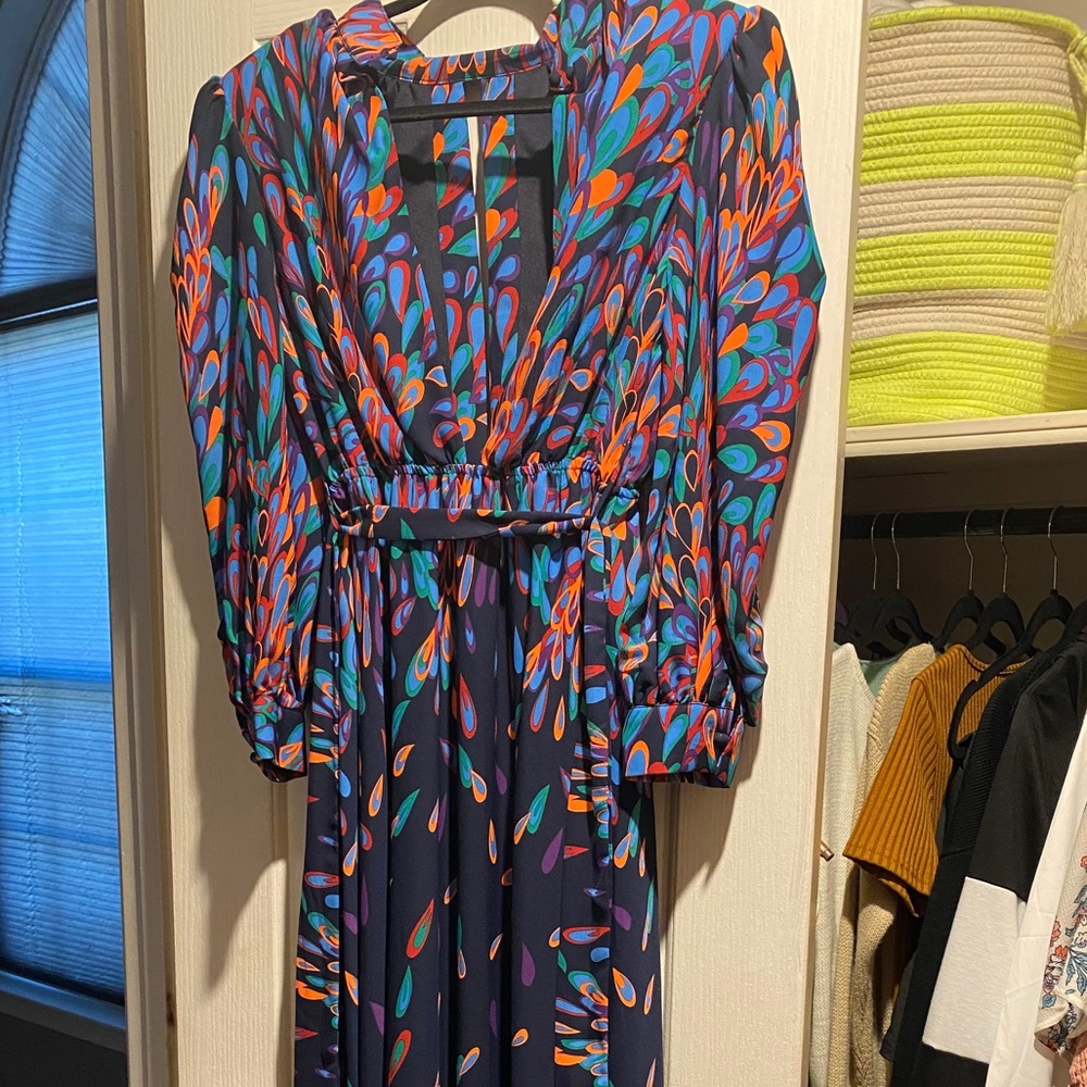 Never worn dress, long sleeve maxi